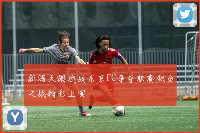 新泻天鹅迎战东京FC争夺联赛积分之战精彩上演