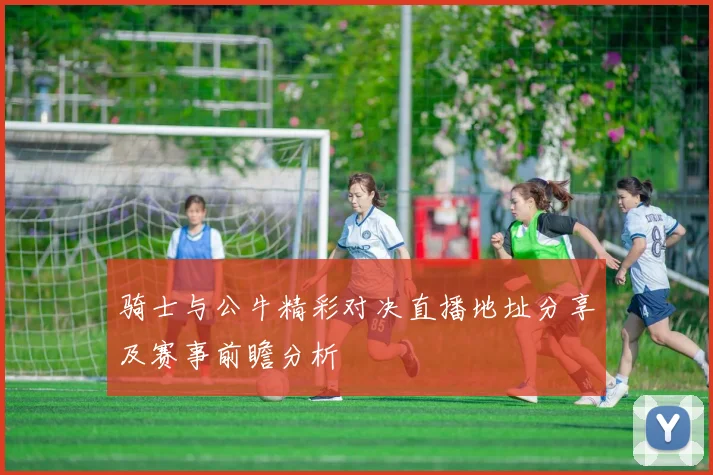 骑士与公牛精彩对决直播地址分享及赛事前瞻分析